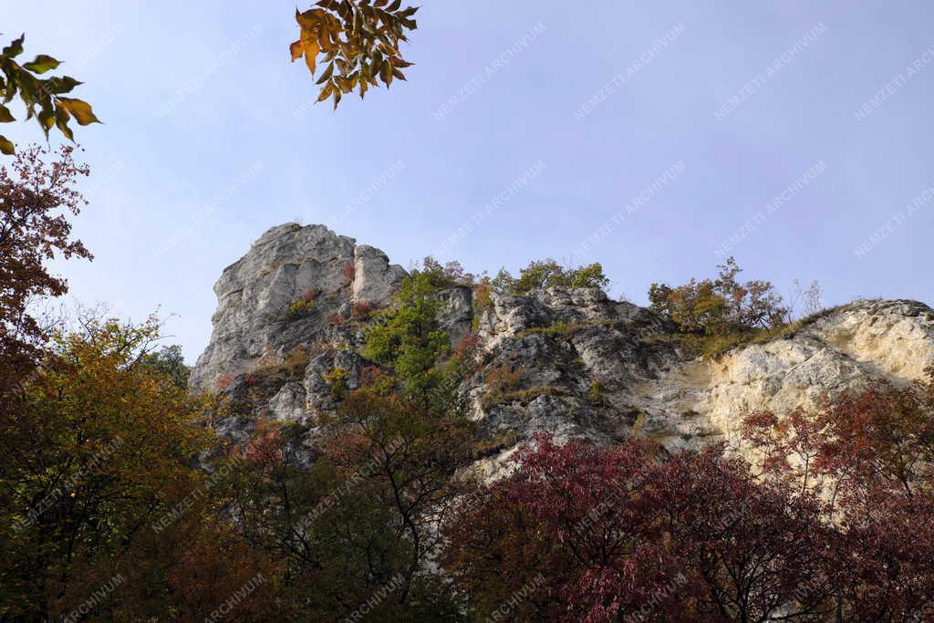 Természet - Budapest - Tündér-szikla 