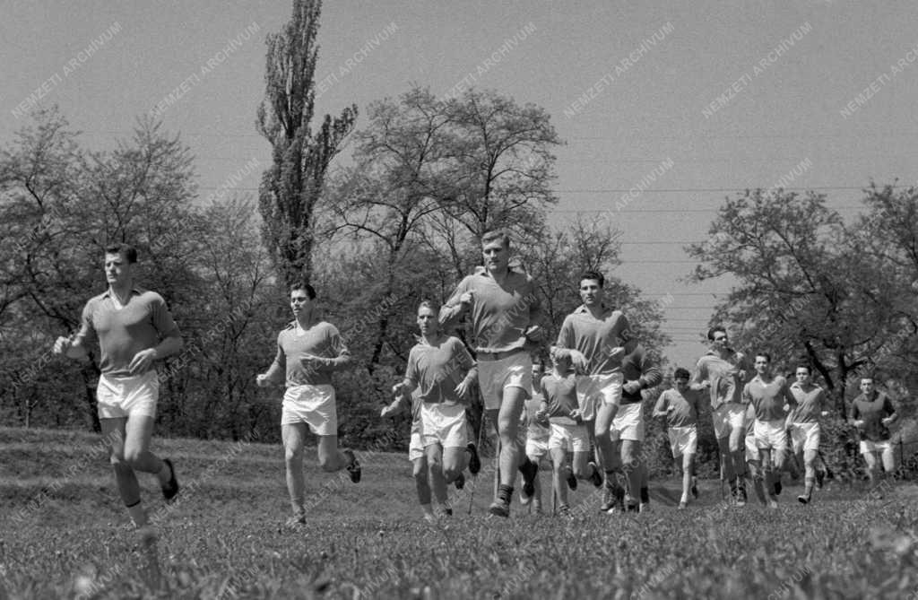 Sport - Edzőtáborban a labdarúgók
