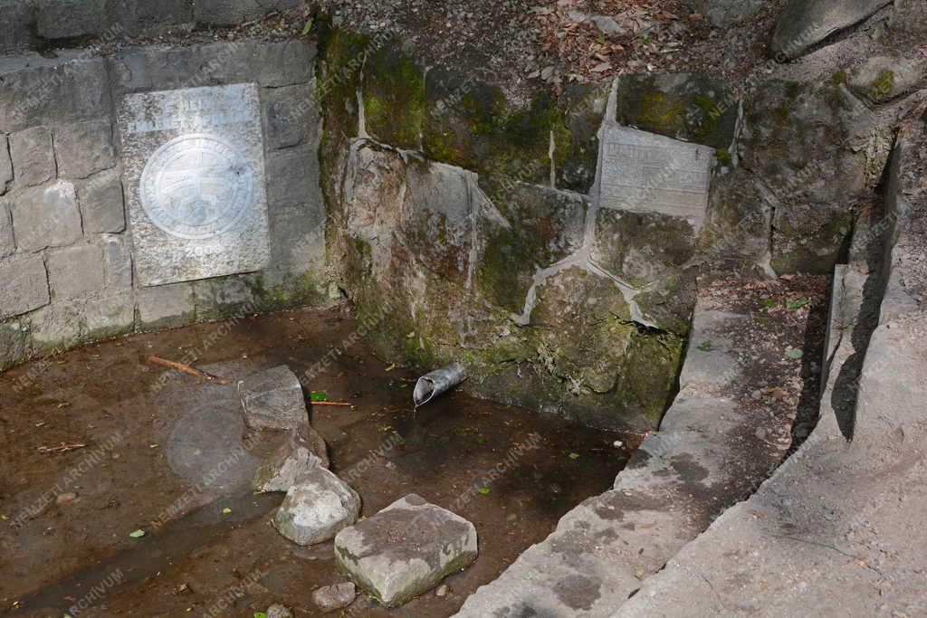 Városkép - Dömös - Kaintz György forrás