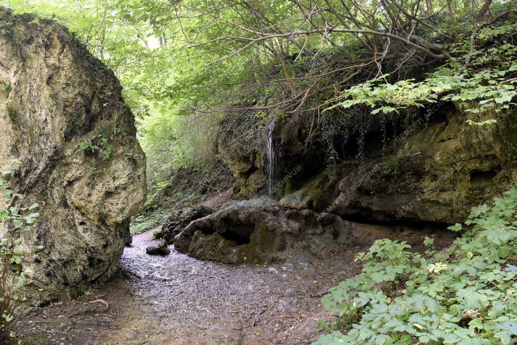 Természet - A Csurgó-kút Farkasgyepűnél