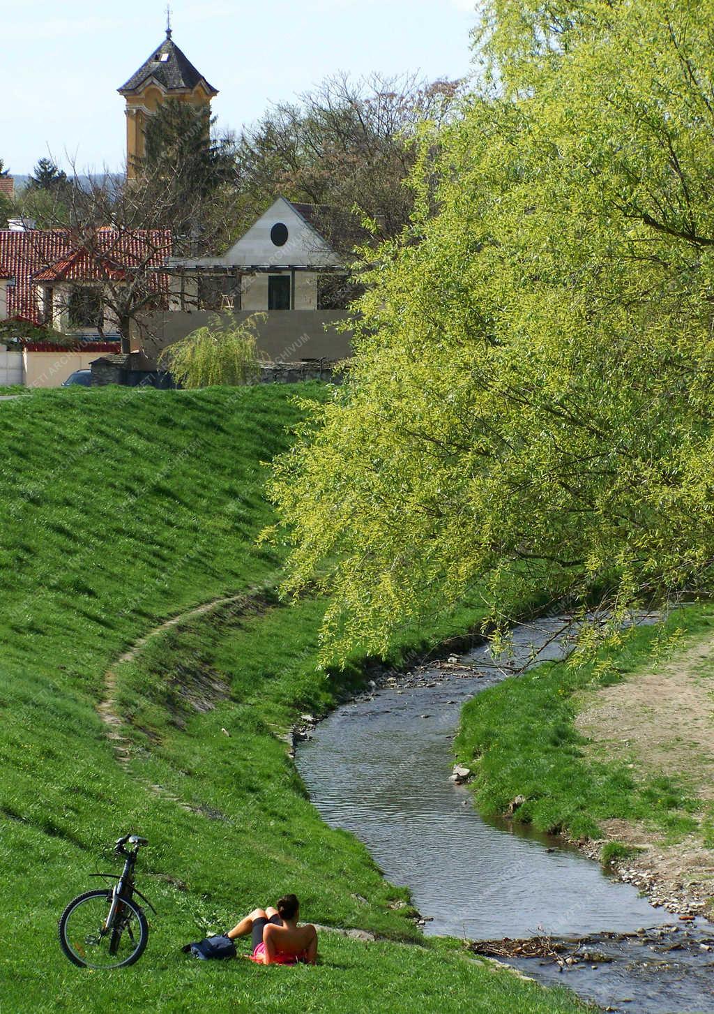 Városkép - Szentendre - A Bükkös patak partja