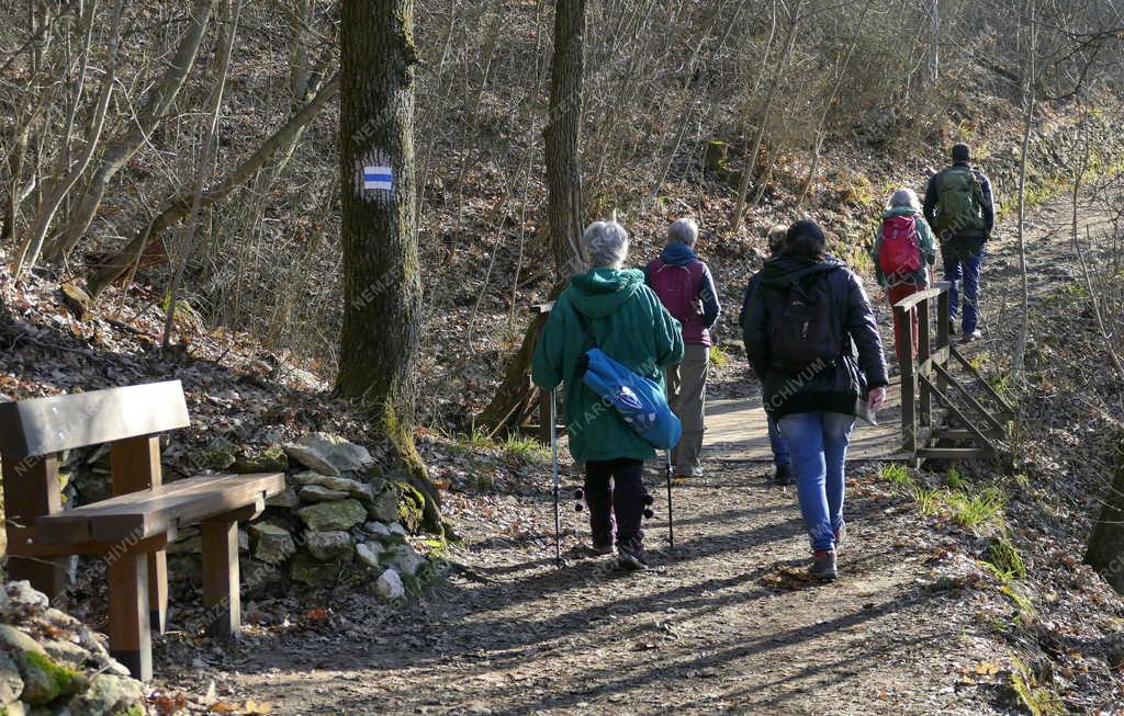 Turizmus - Budapest - Természetjárók a Budai-hegységben