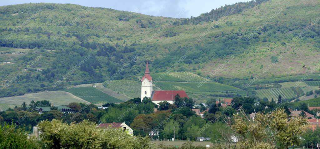 Település - Tállya
