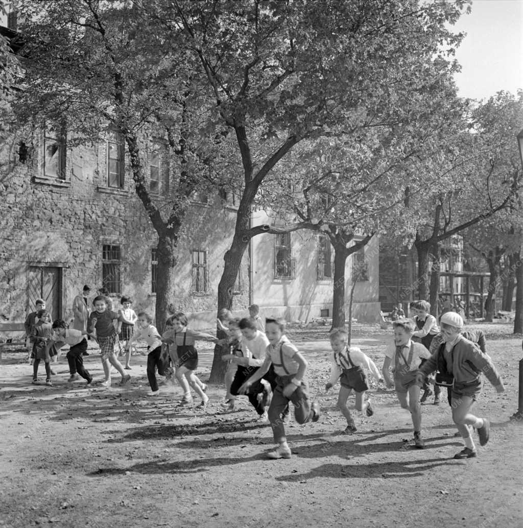 Városkép - Életkép - Ősz a budai Várban