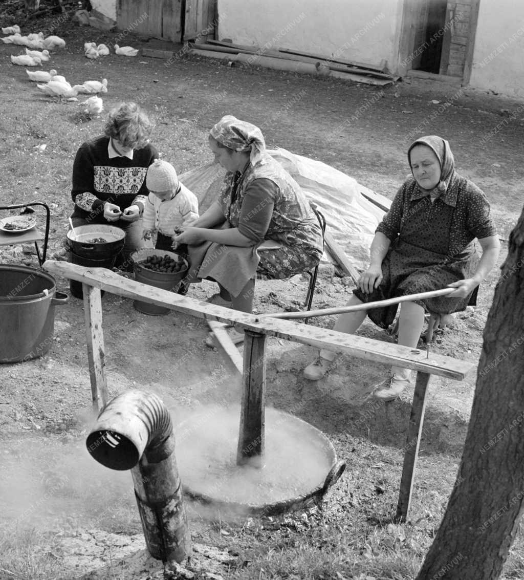 Mezőgazdaság - Szilvalekvár főzés