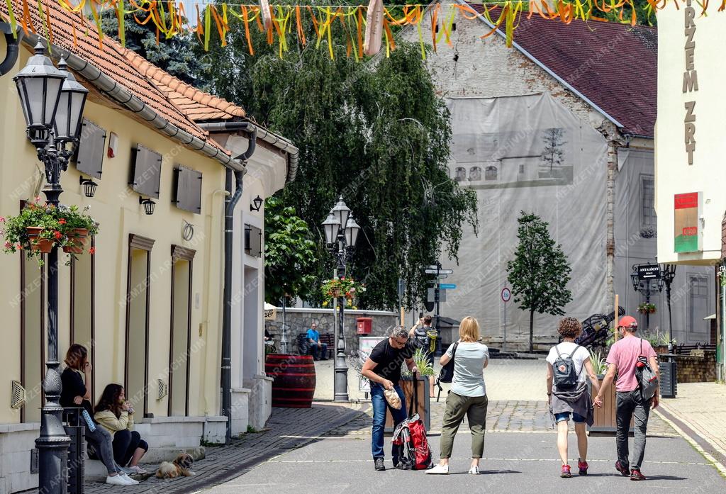 Városkép - 950 éves Tokaj
