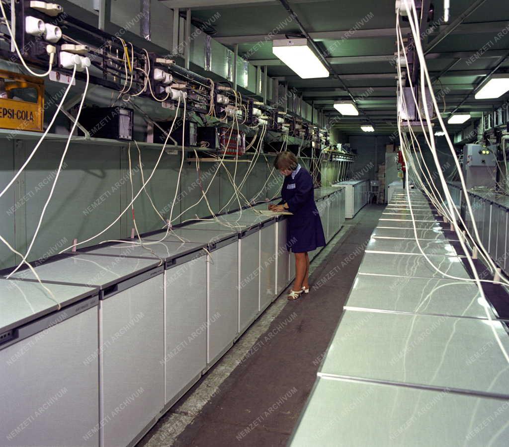 Ipar - A Jászberényi Hűtőgépgyár