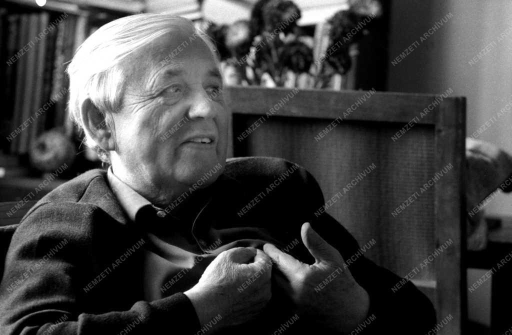 Tudós egyetemi tanár