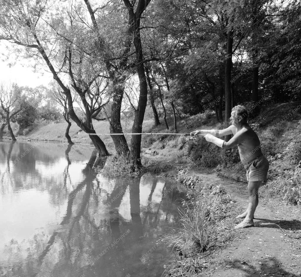 Városkép - Ismeretlen budapesti tavak nyomában
