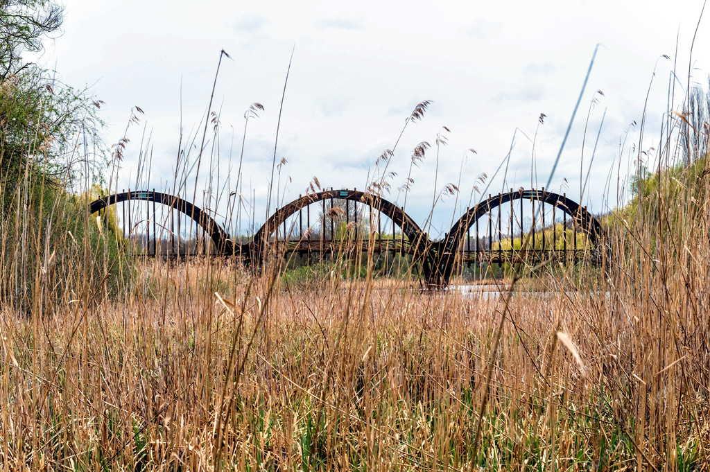 Természet - Kis-Balaton - Kányavári-sziget