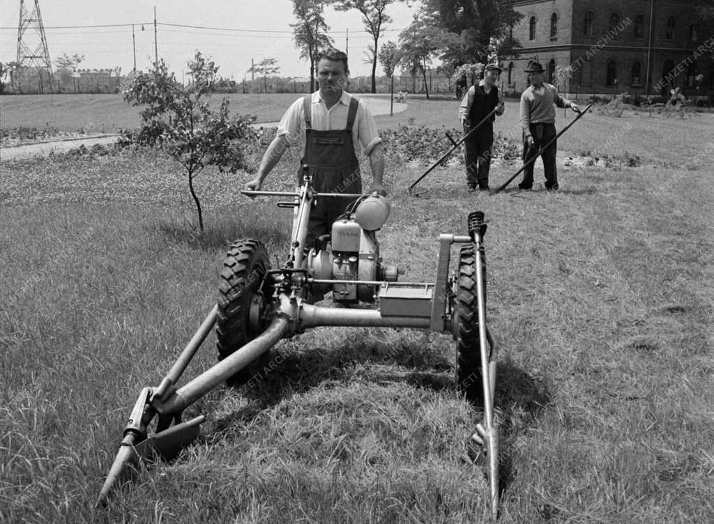 Településfejlesztés - Fővárosi Kertészeti Vállalat új fűnyírógépe