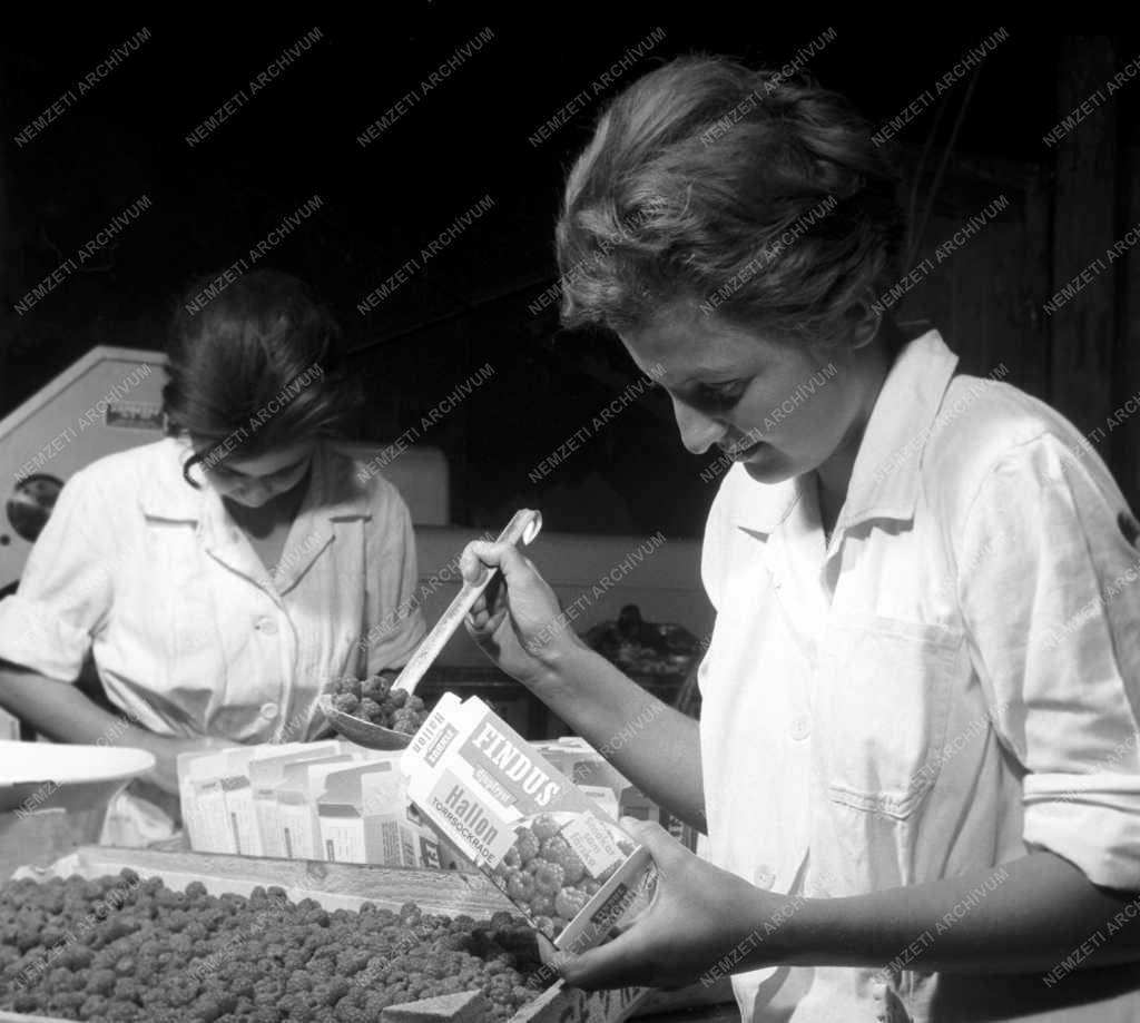 Élelmiszeripar - Miskolci Hűtőipari Vállalat hűtőháza