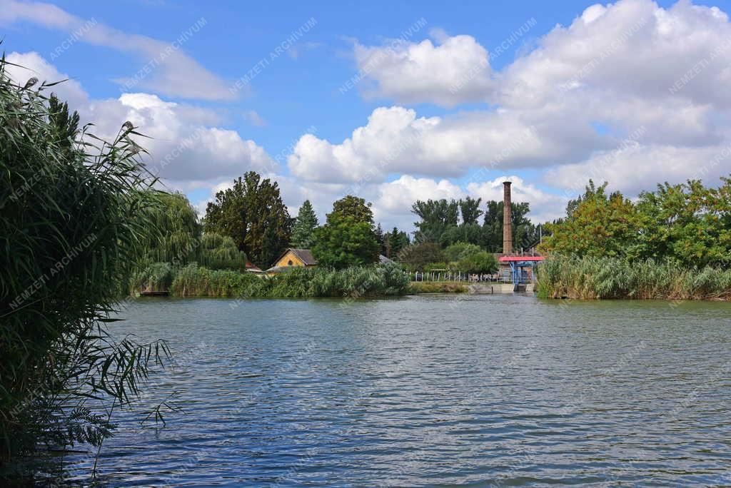 Tájkép - Zsilip a Holt-Körösön