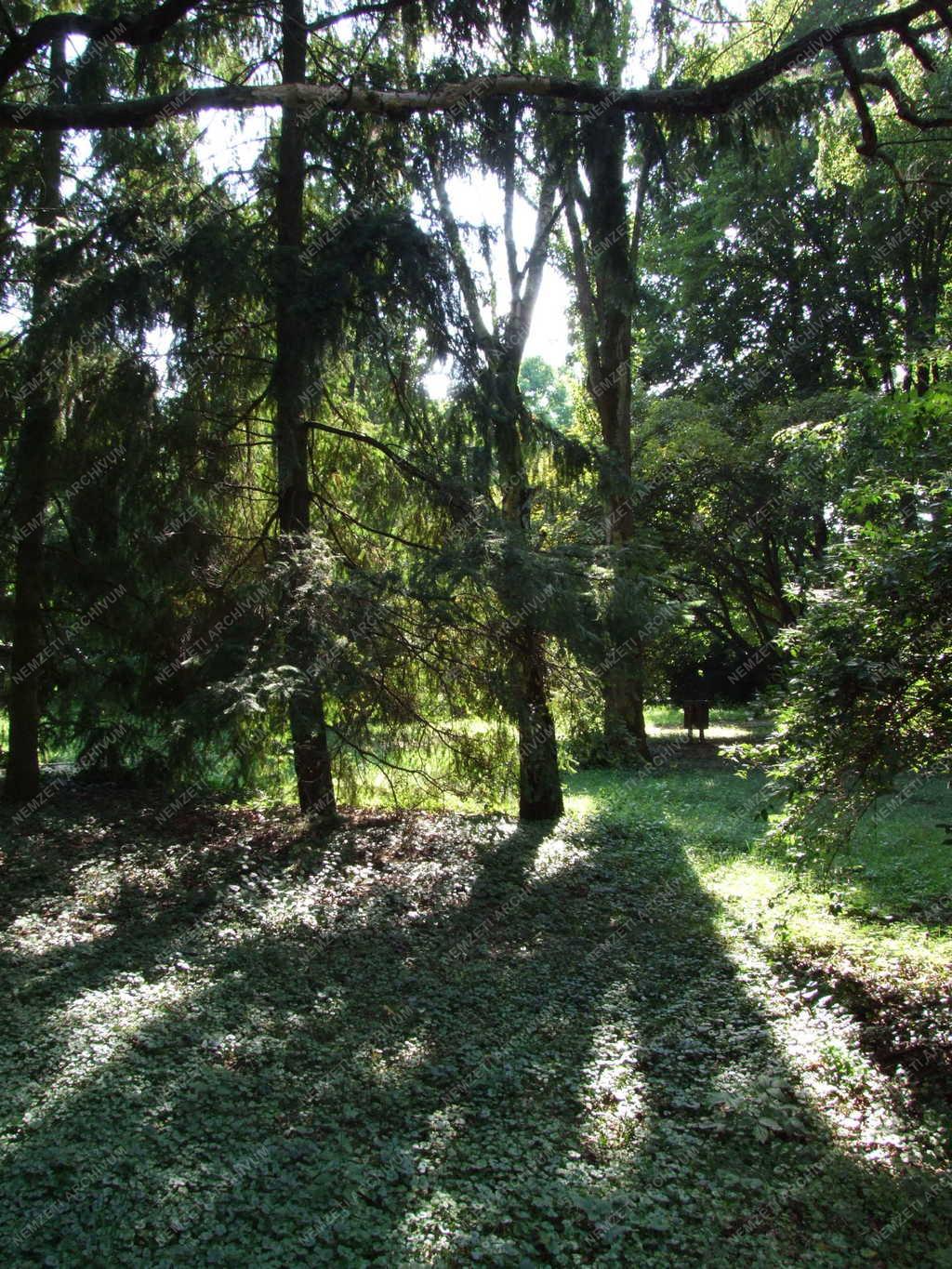 Környezetvédelem - Arborétum Tiszalökön