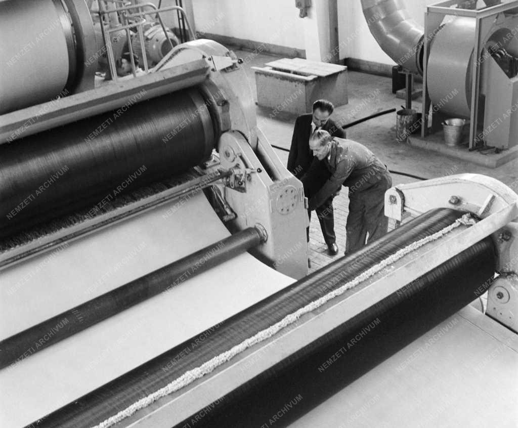 Ipar - Dunai Szalmacellulózgyár