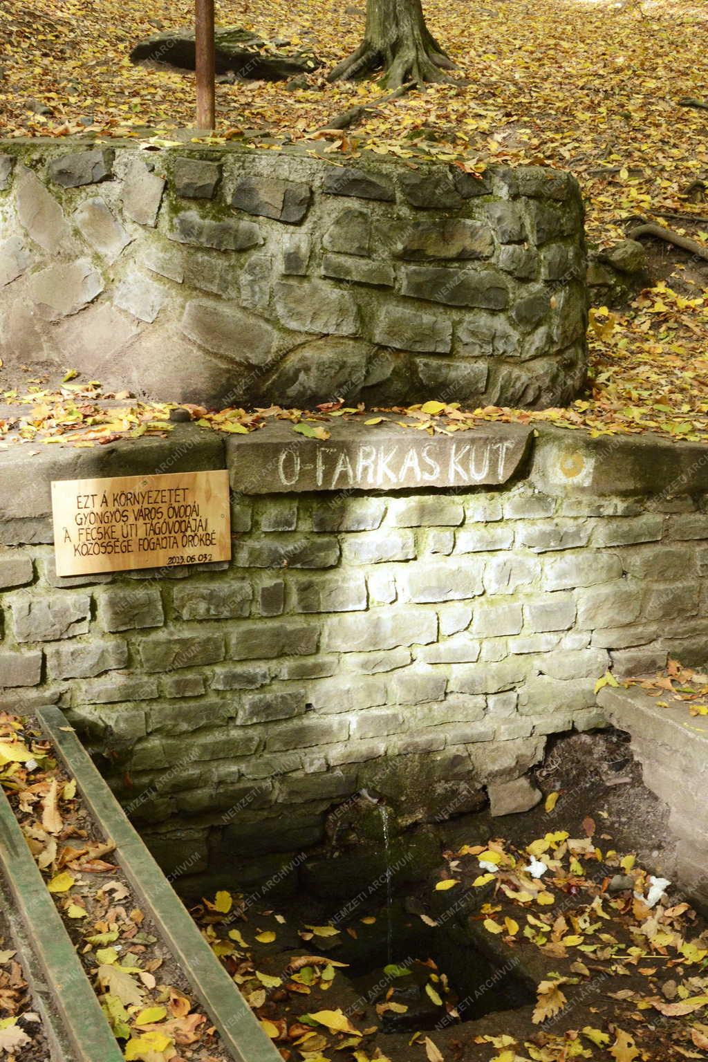 Természet - Mátraháza - Az Ó-Farkas kút nevű forrás