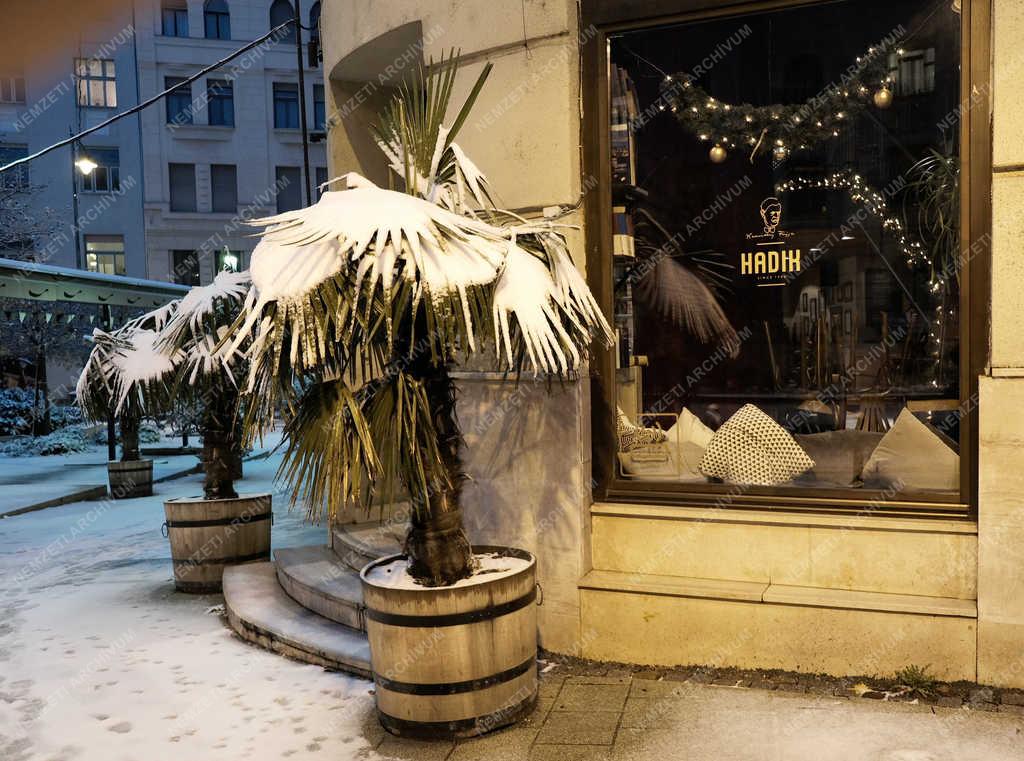 Időjárás - Budapest - Havas városkép
