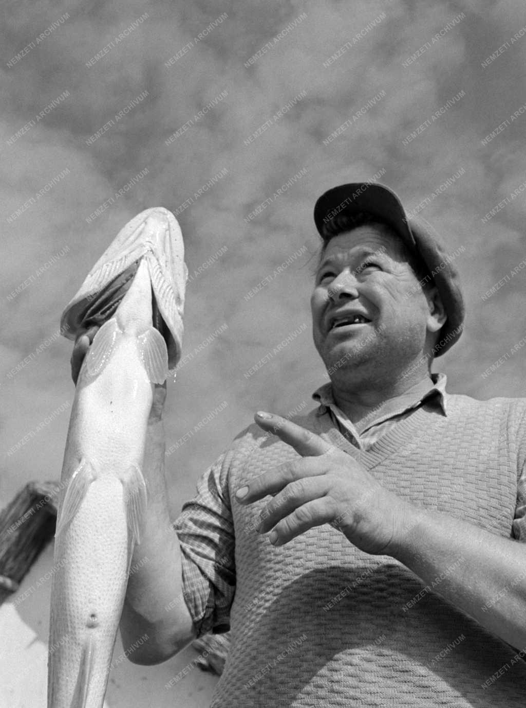 Mezőgazdaság - Fejér Megyei Halgazdaság soponyai üzemegység