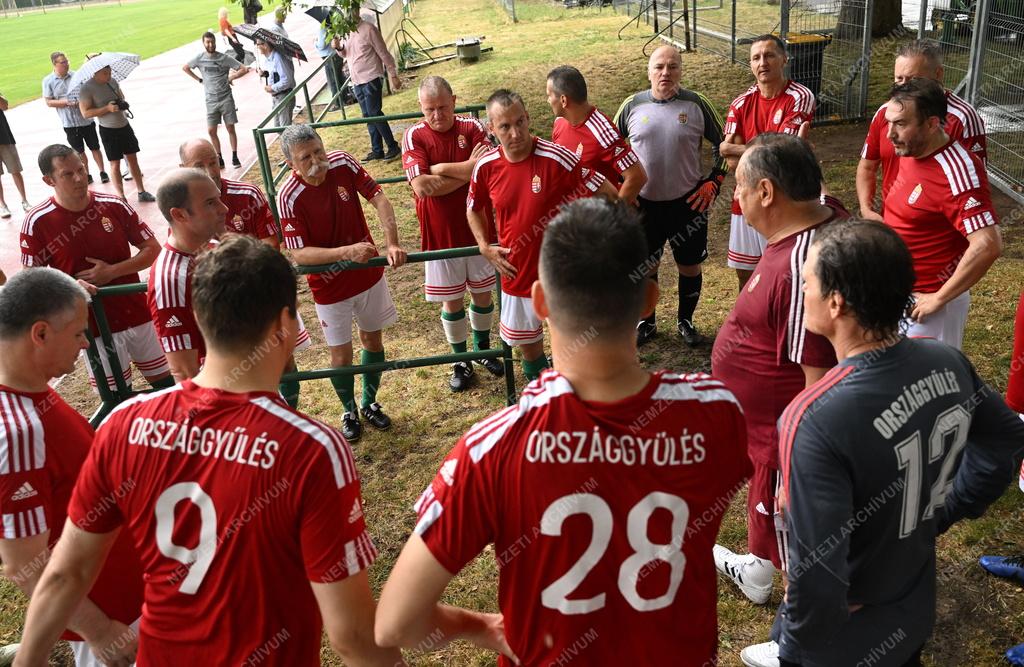 Az V. Nemzeti Összetartozás Labdarúgó Torna