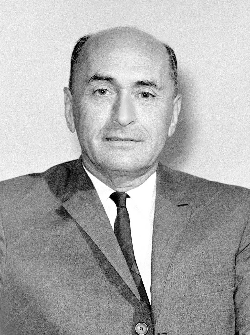 Kitüntetés - MTI - 1965-ös Rózsa Ferenc-díjasok