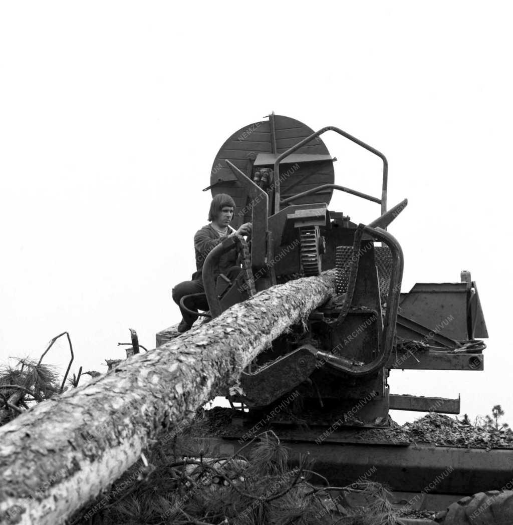 Fakitermelő géplánc  