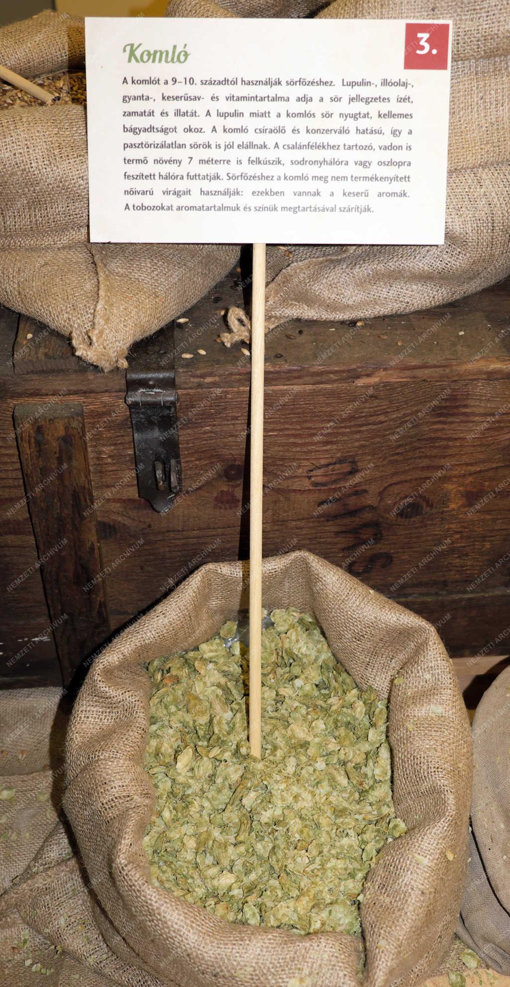 Múzeum - Budapest - Kiállítás a hazai sörfőzésről