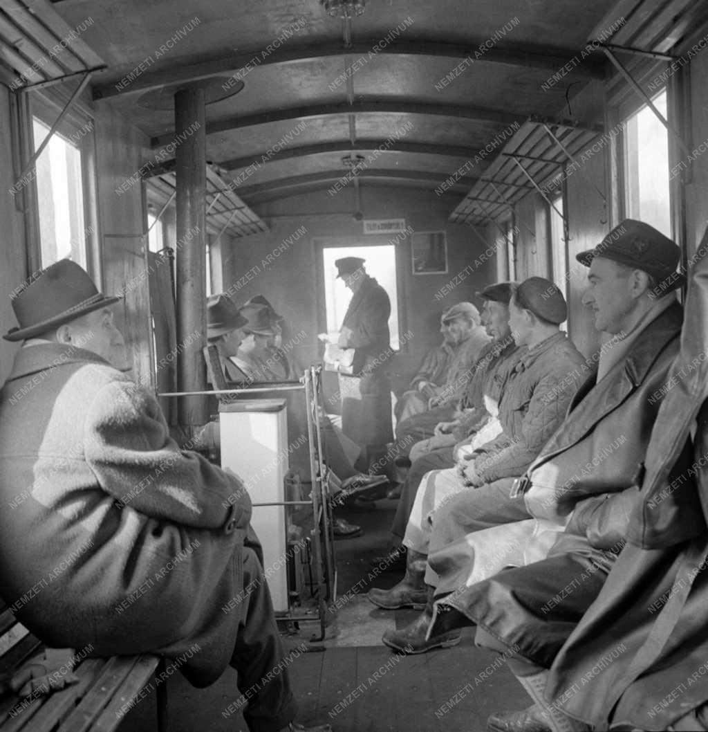 Közlekedés - Erdei kisvasút