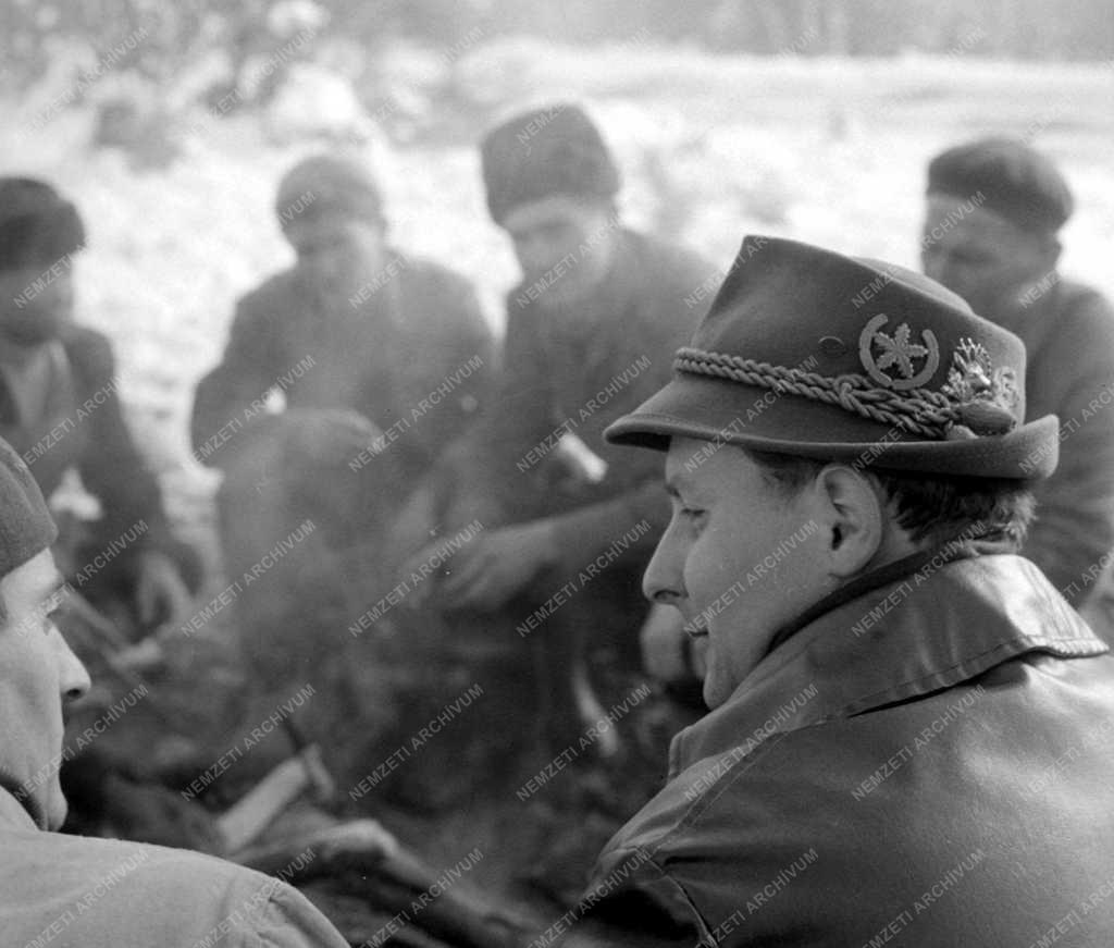 Téli fakitermelés a Mátrai Erdőgazdaságban