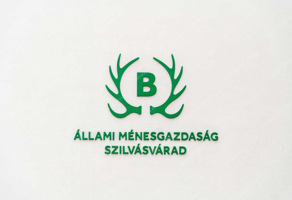 Lovassport - Szilvásvárad - Állami Ménesgazdaság 