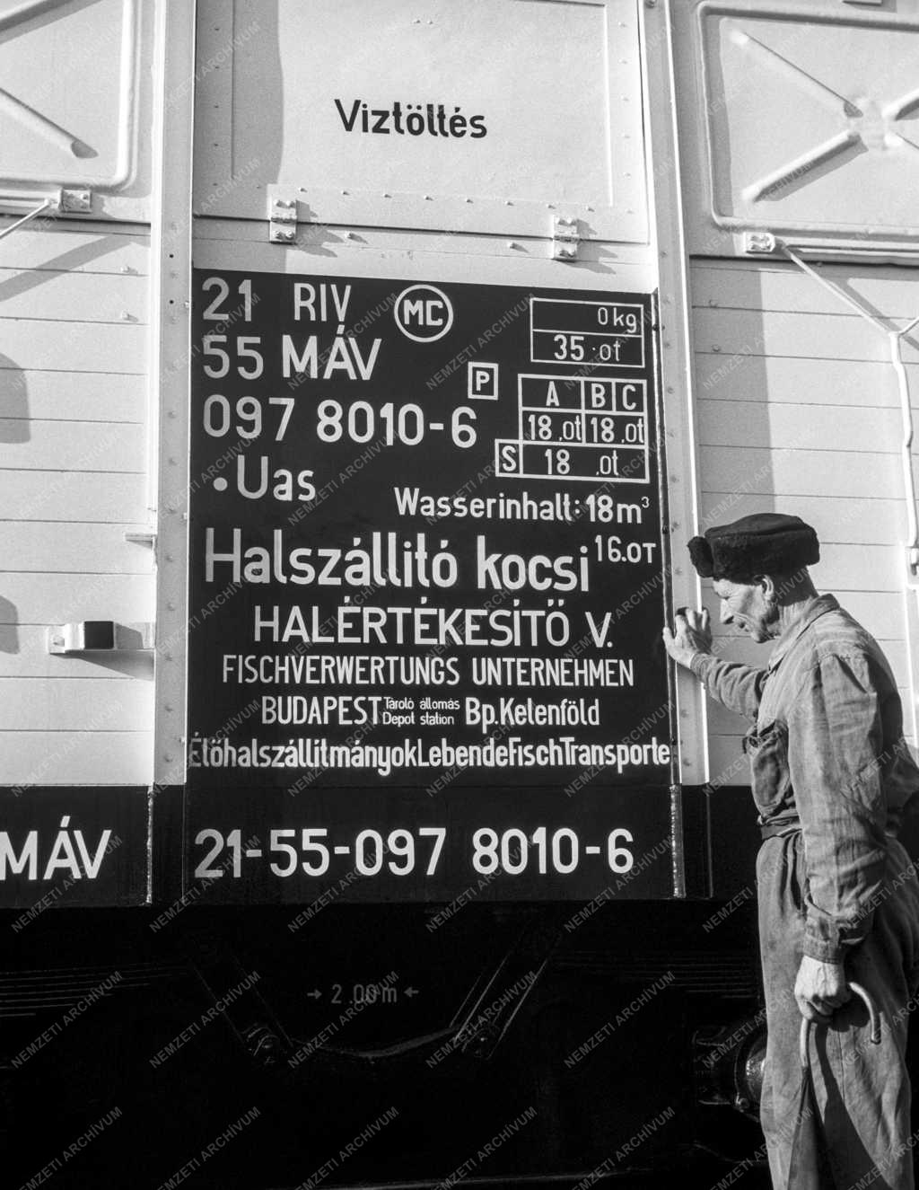 Közlekedés - Járműipar - Élőhal szállító vasúti vagon