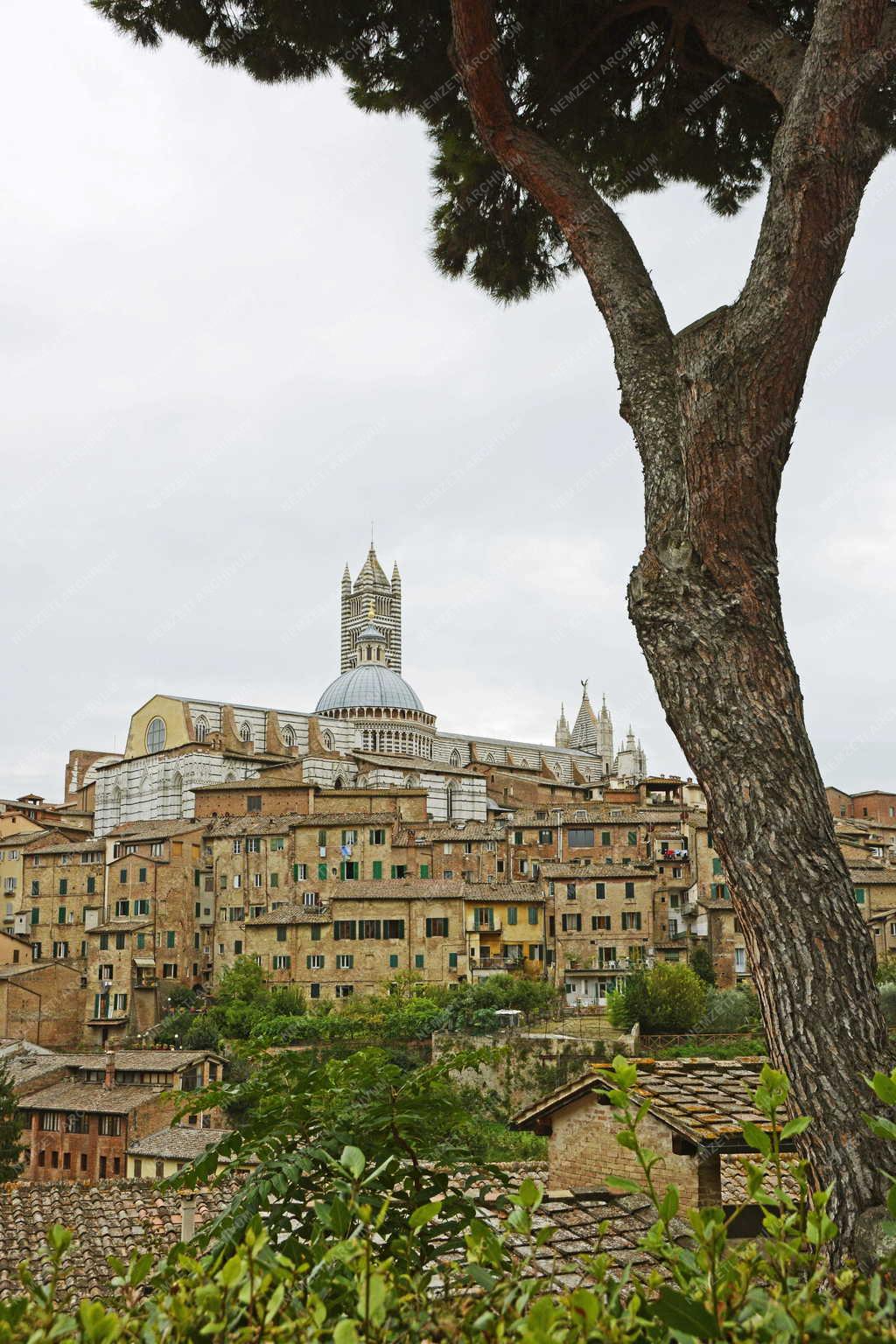 Városkép - Siena