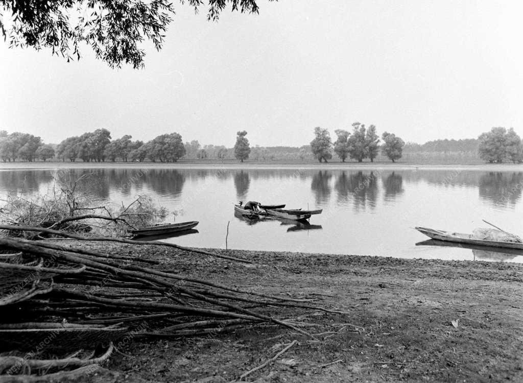 Természet - Gemenc