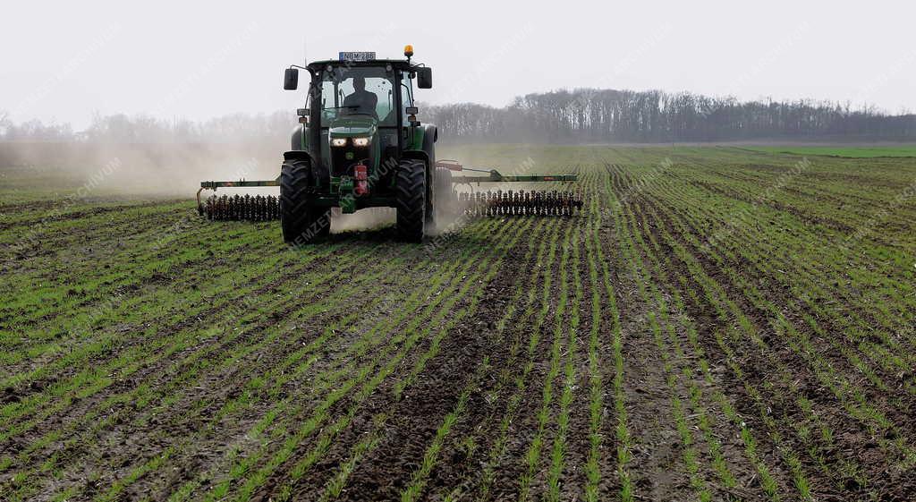 Mezőgazdaság - Ebes - Tavaszi munkák 