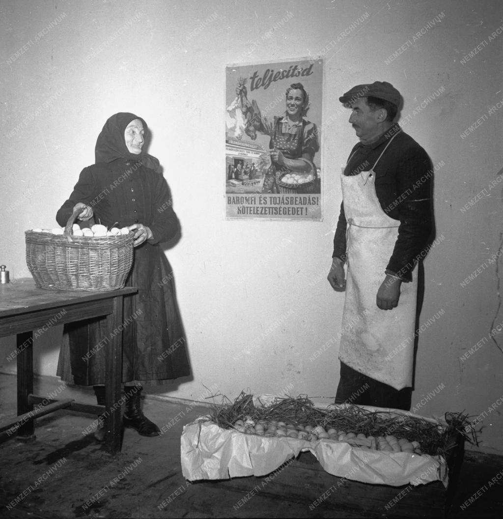 Mezőgazdaság - Beszolgáltatás - Személyi kultusz