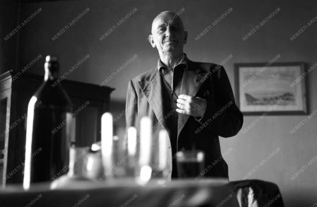 Irodalom - Tersánszky Józsi Jenő