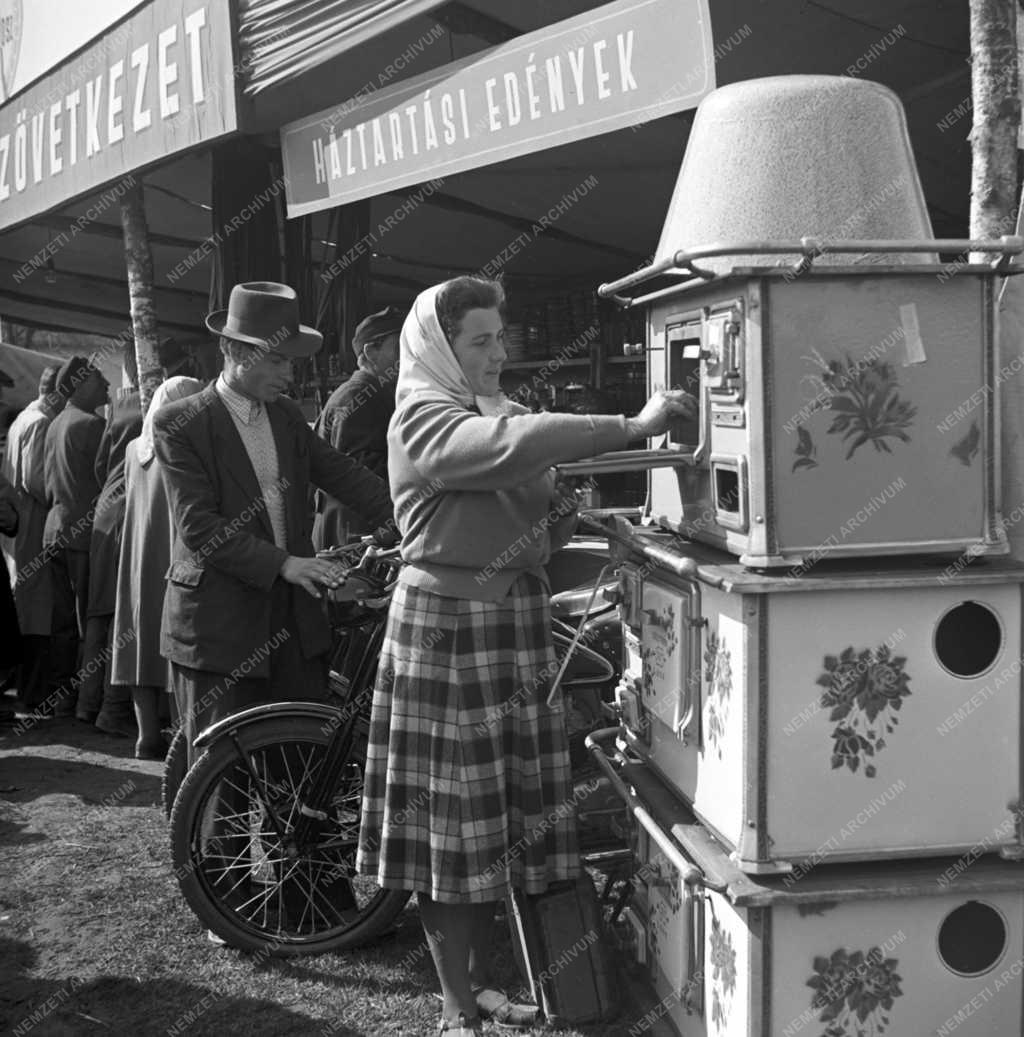 Életkép - Szövetkezeti képek