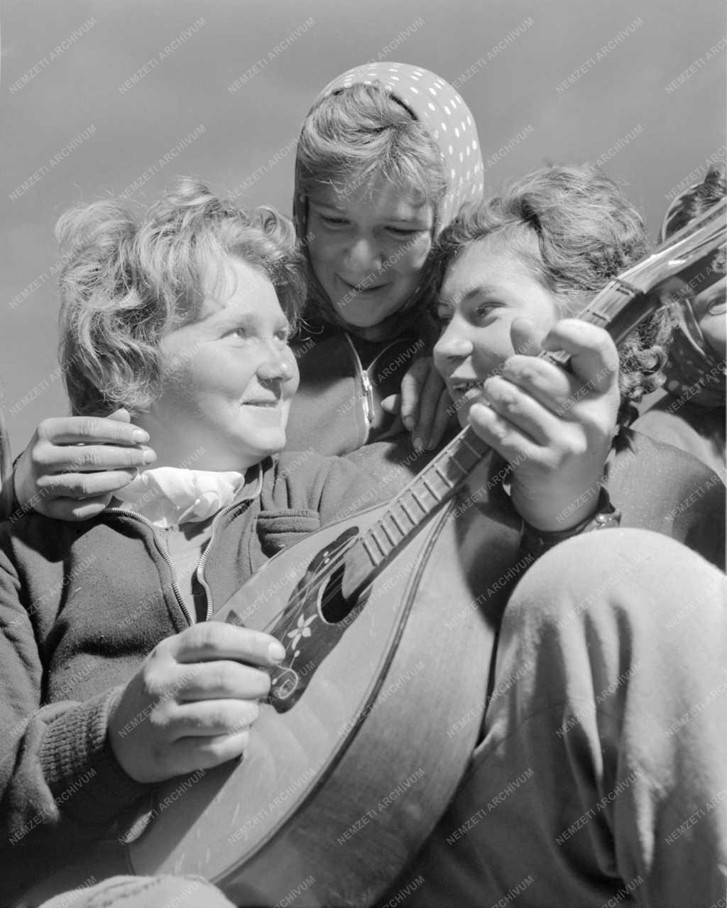 Szervezet - Szocialista brigád a Kiskunhalasi Állami Gazdaságban