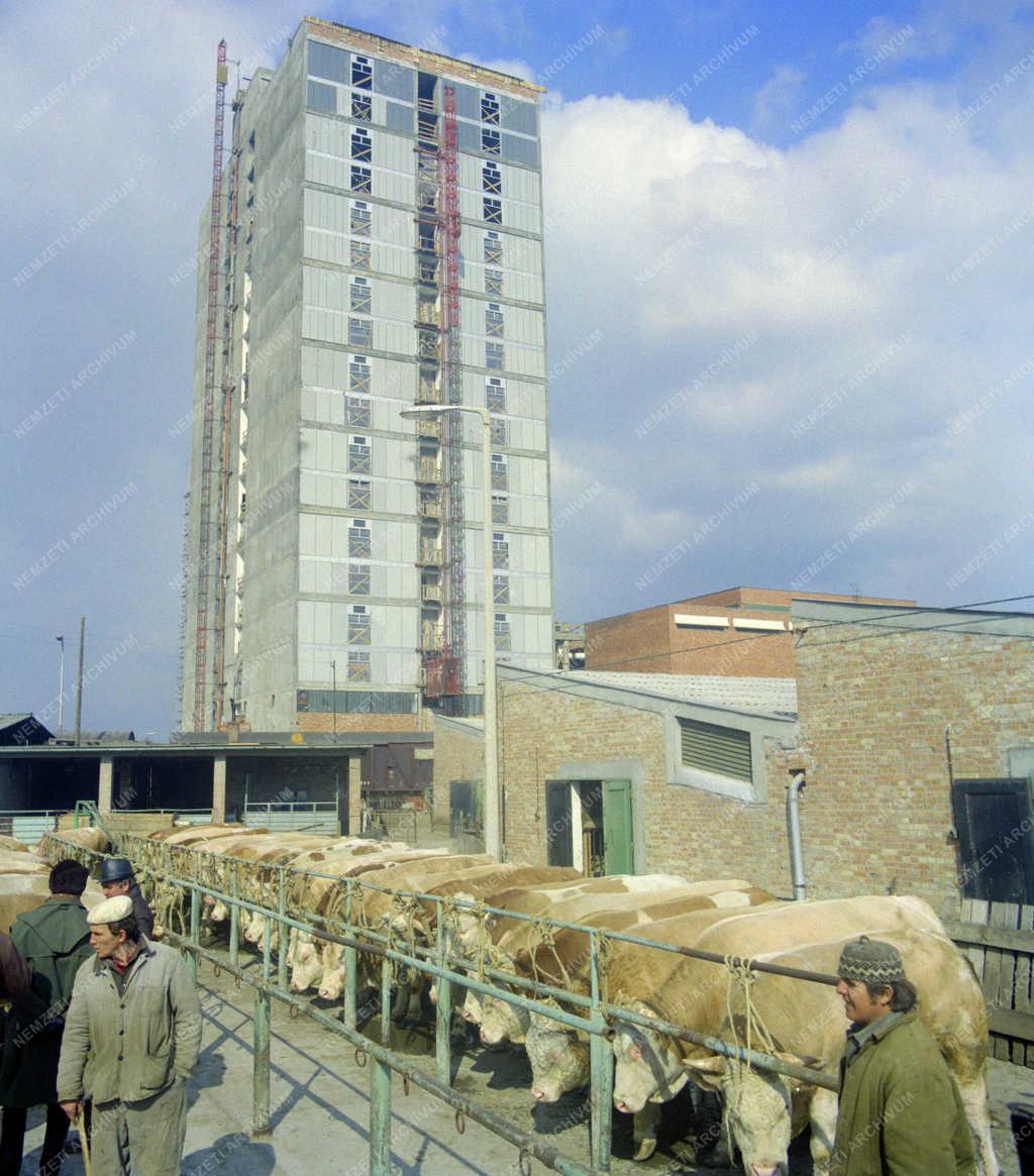 Ipar - Épül az új szegedi szalámigyár