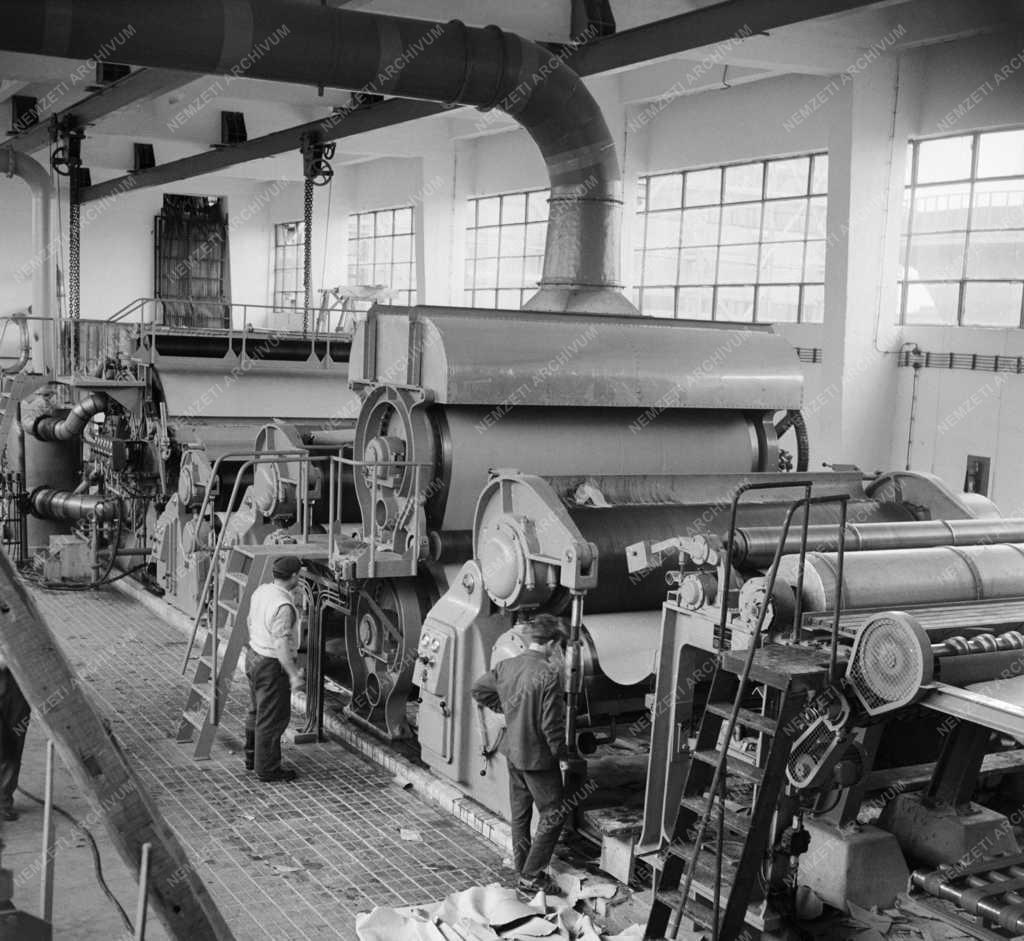 Ipar - Dunai Szalmacellulózgyár