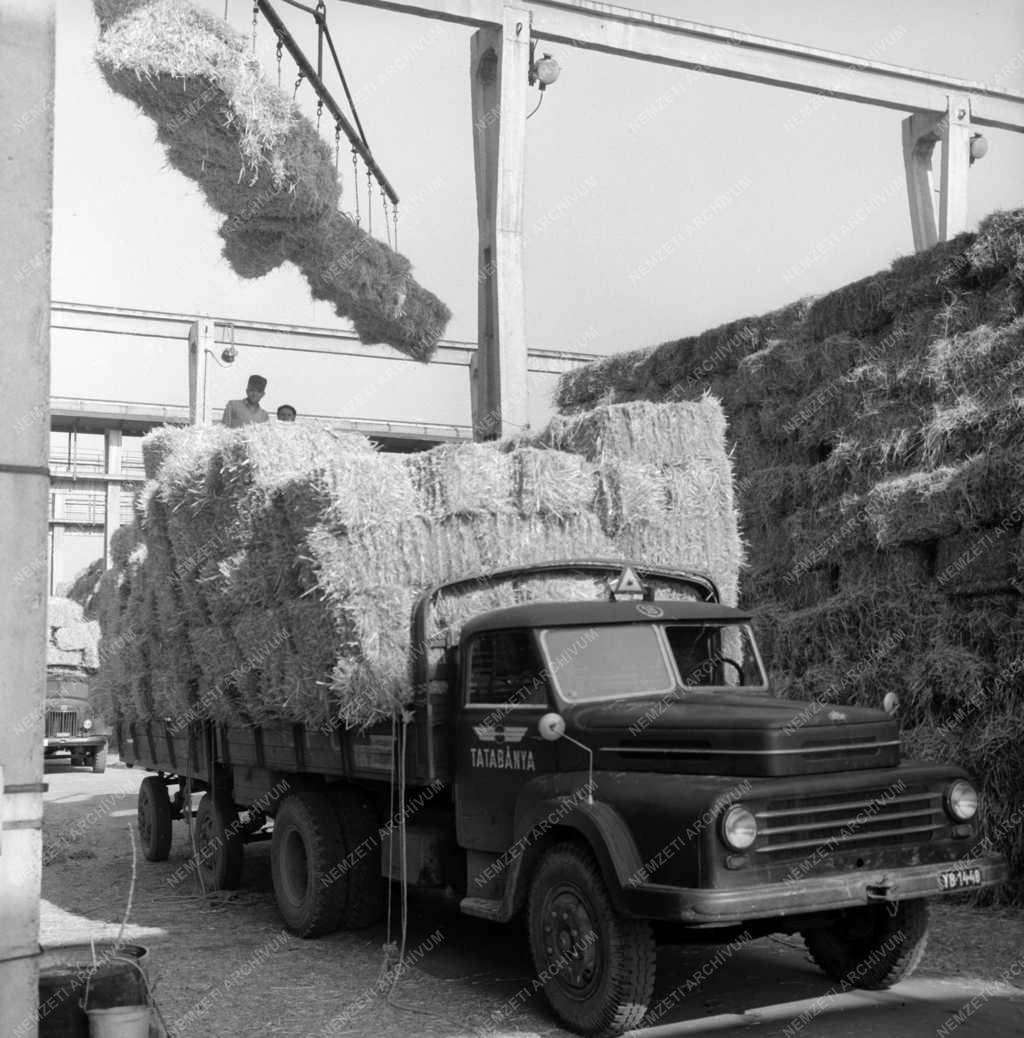 Ipar - Dunai Szalmacellulózgyár