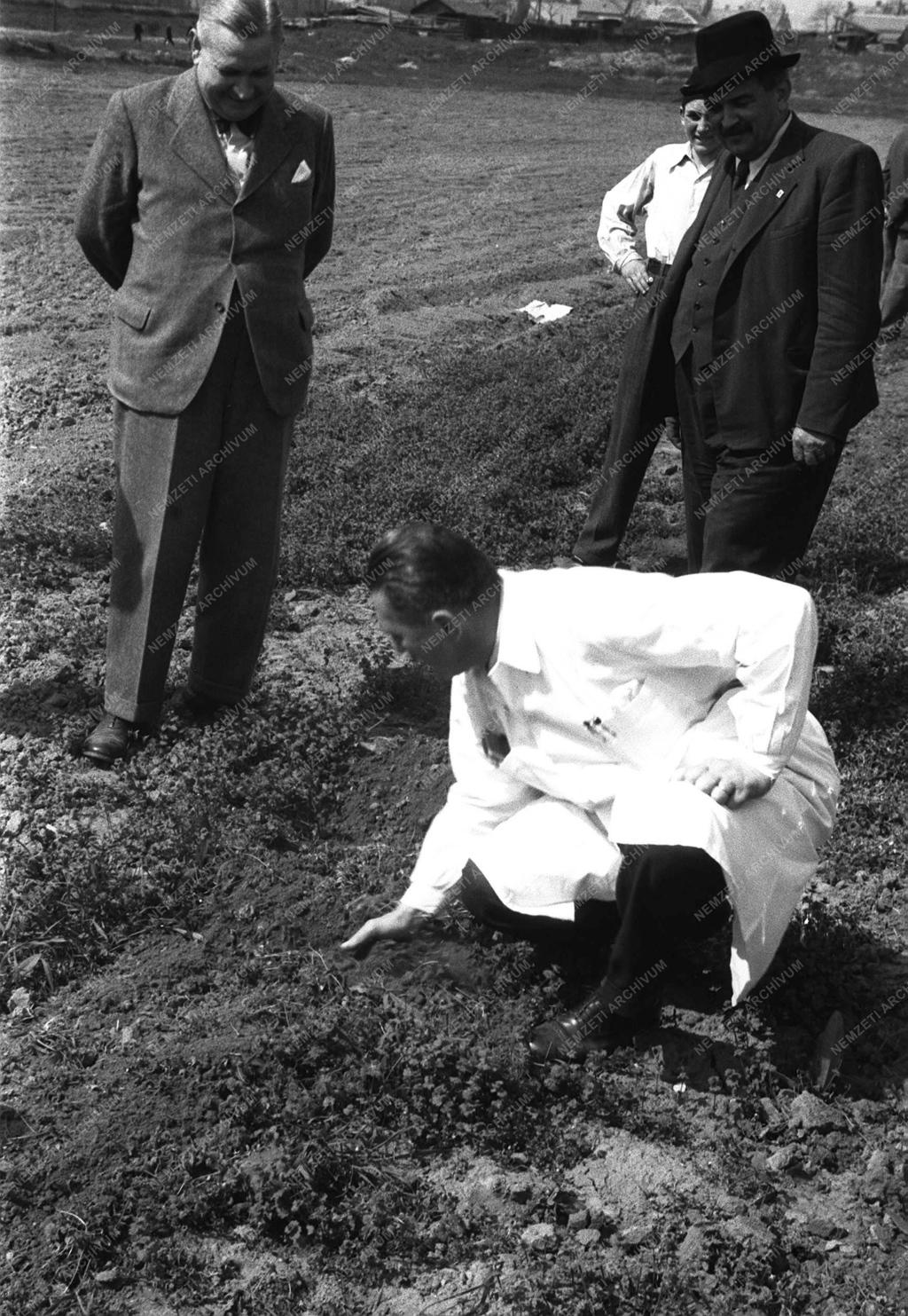 Gazdaság - Bárányos Károly a Csonka Gépgyárban