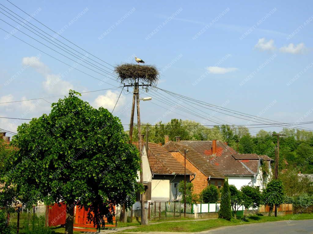 Magyarországi képek - Mikekarácsonyfa - Falukép