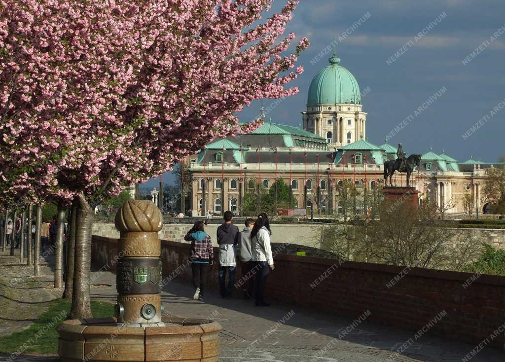 Városkép - Budapest - Virágba borult a Tóth Árpád sétány