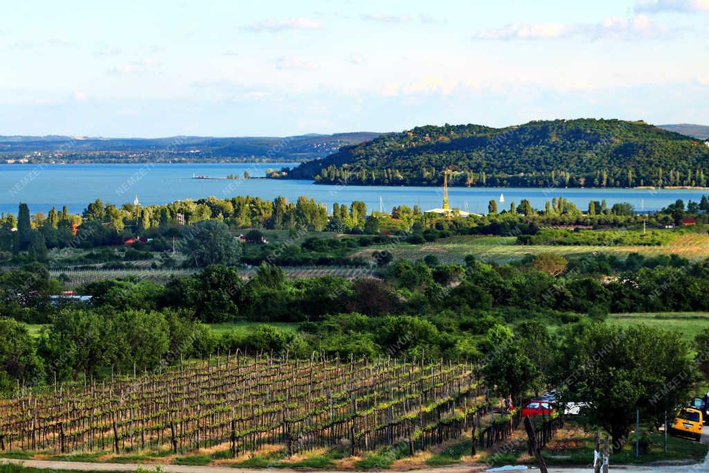 Természet - Balaton - Tájkép