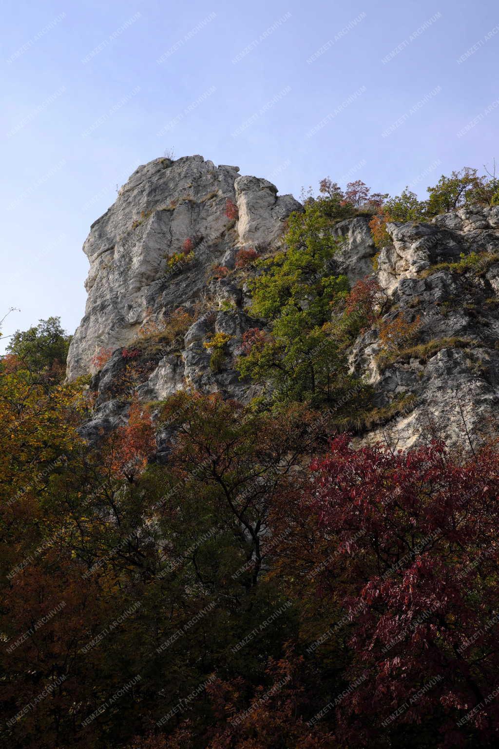 Természet - Budapest - Tündér-szikla 