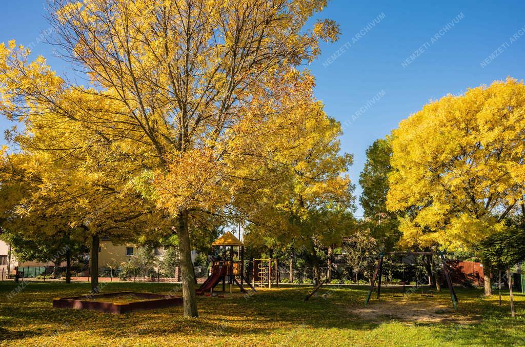 Természet - Időjárás - Őszi falevelek