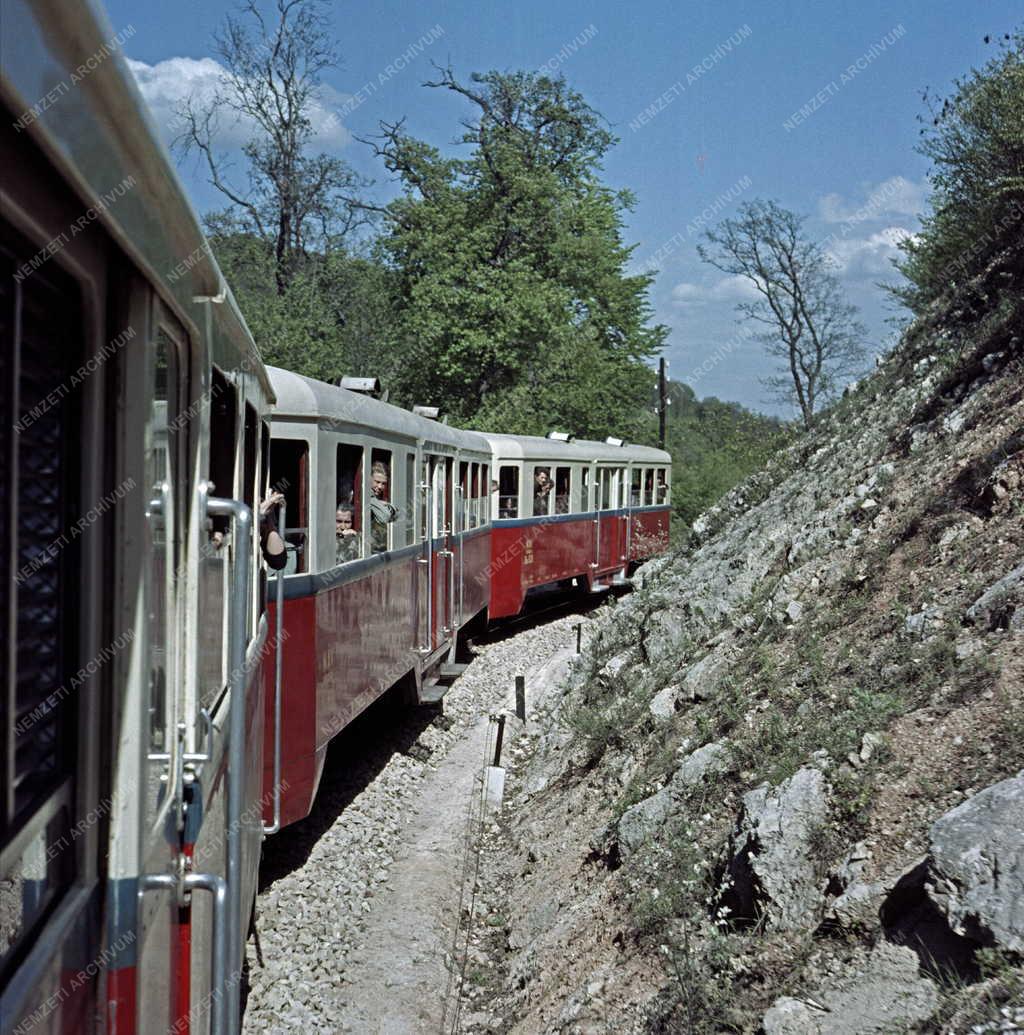 Közlekedés - Úttörővasút