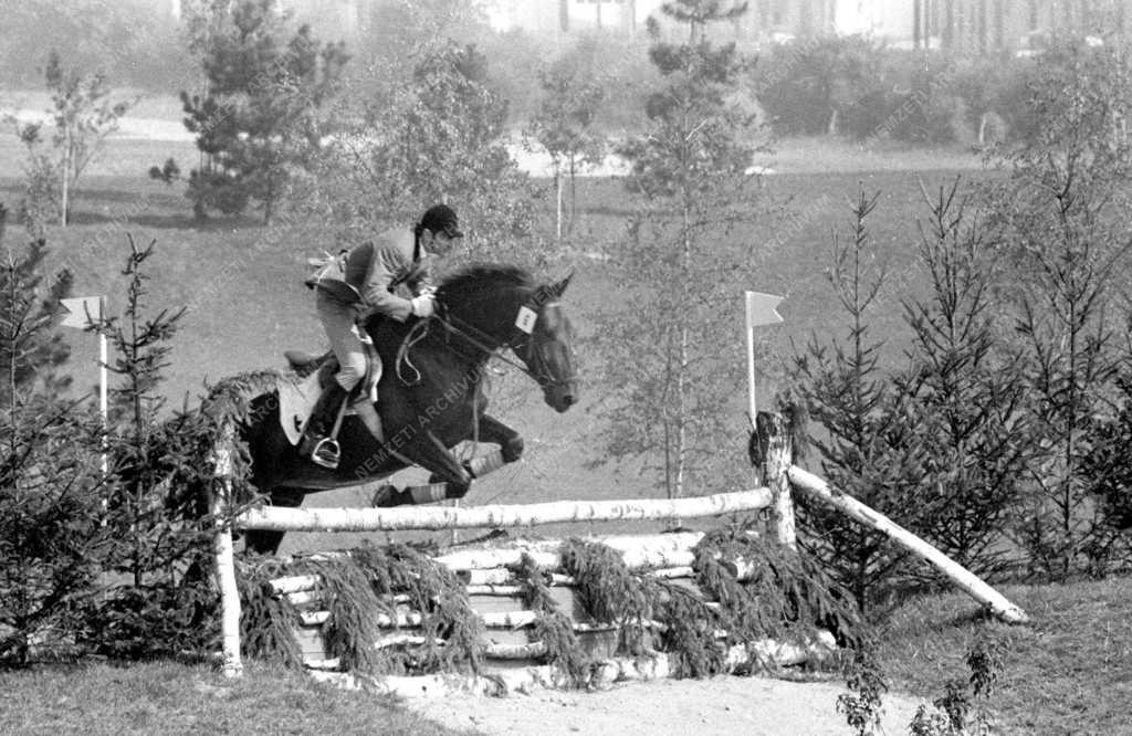 A  XX. nyári olimpia Münchenben