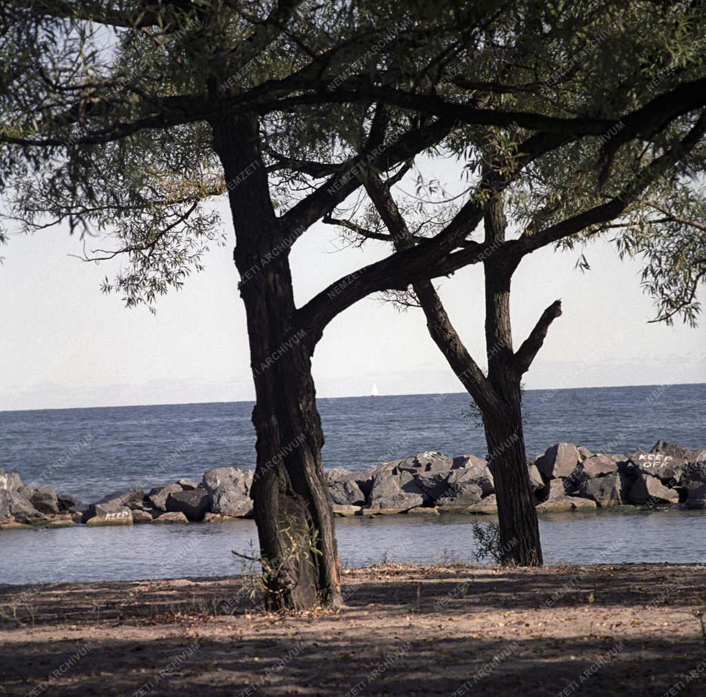 Tájkép - Kanada - Toronto