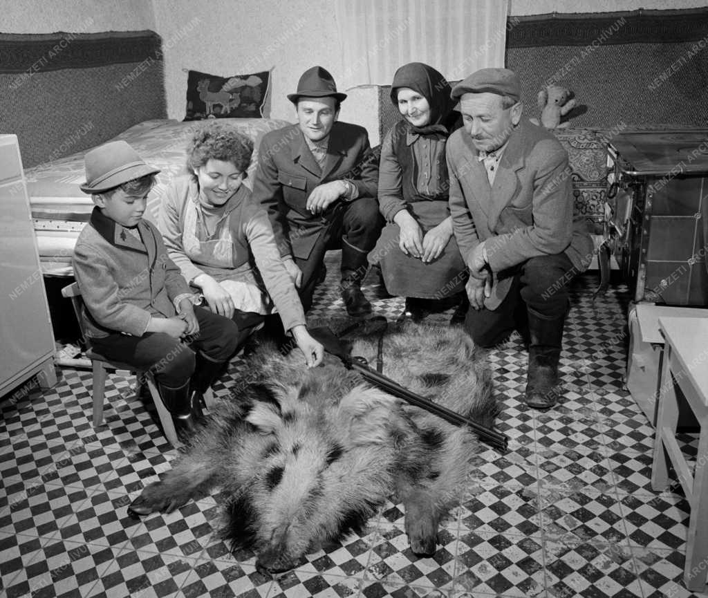 Vadászat - Albínó vaddisznót lőtt egy somogyi vadőr